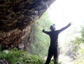 caminatas en el bosque